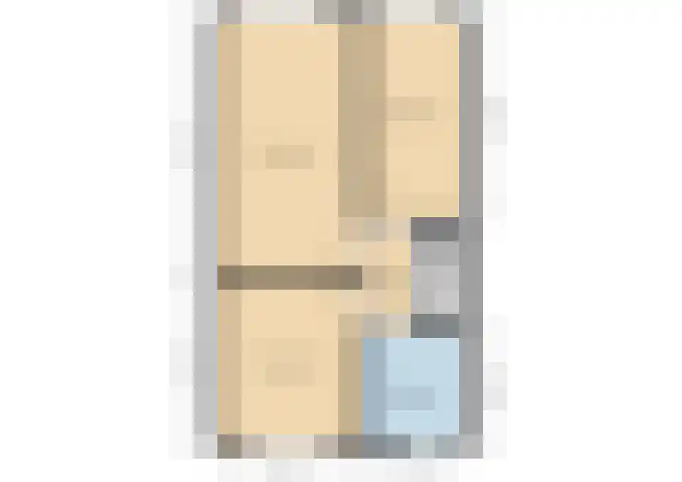 Zilvermeeuw 18 De Lier thumbnail 39