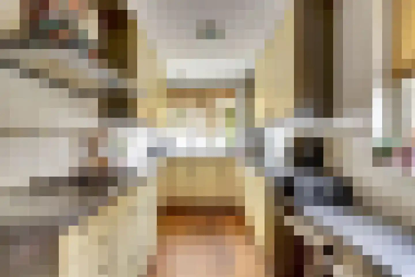 Zilvermeeuw 18 De Lier thumbnail 4