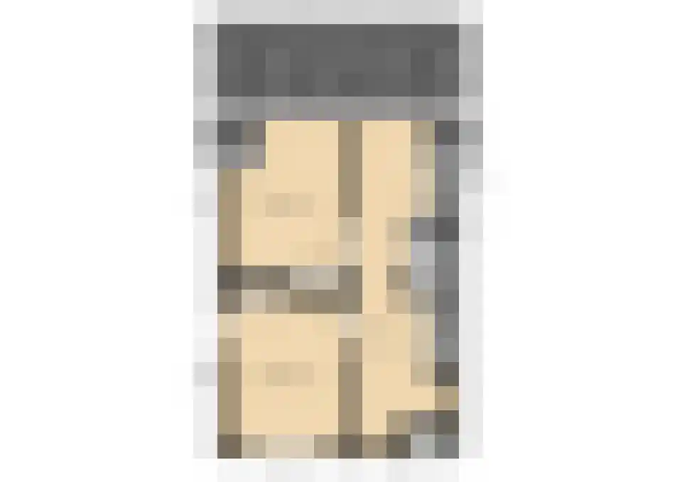 Zilvermeeuw 18 De Lier thumbnail 40