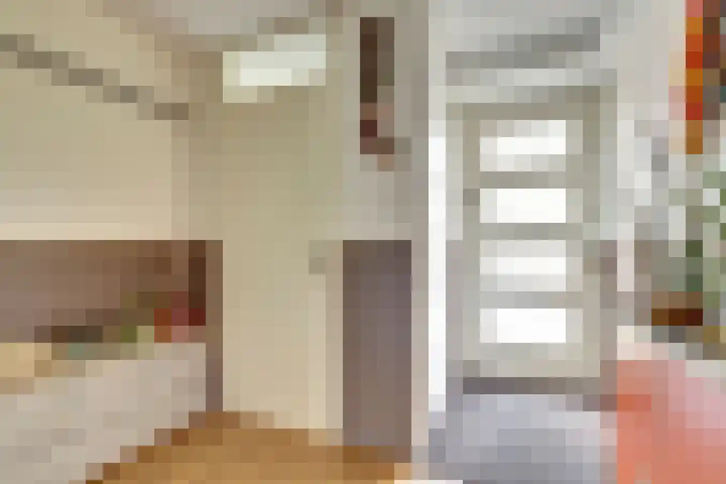 Zilvermeeuw 18 De Lier thumbnail 5