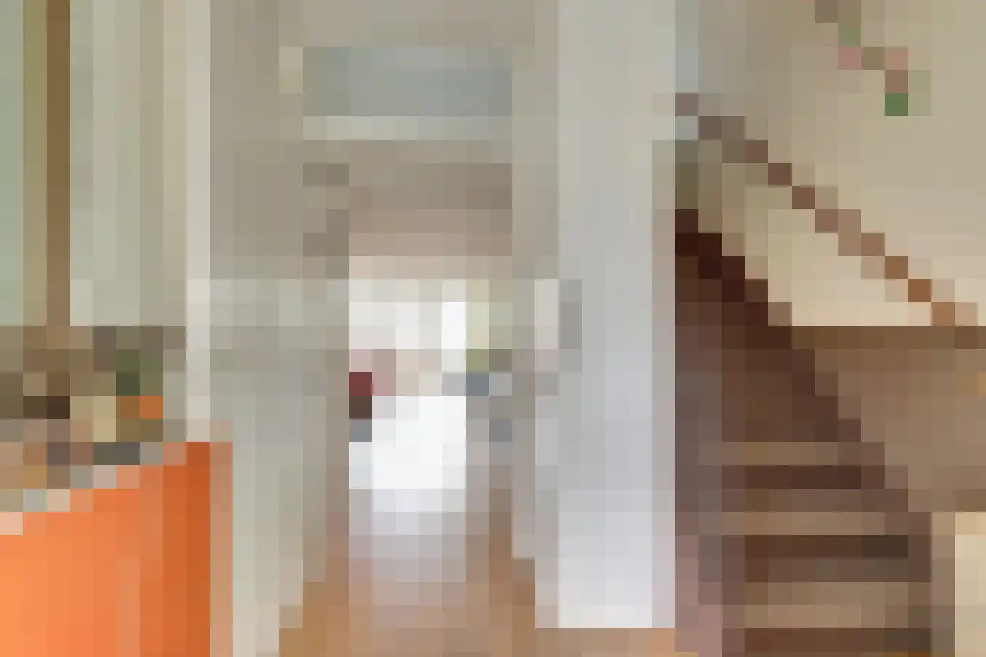 Zilvermeeuw 18 De Lier thumbnail 6