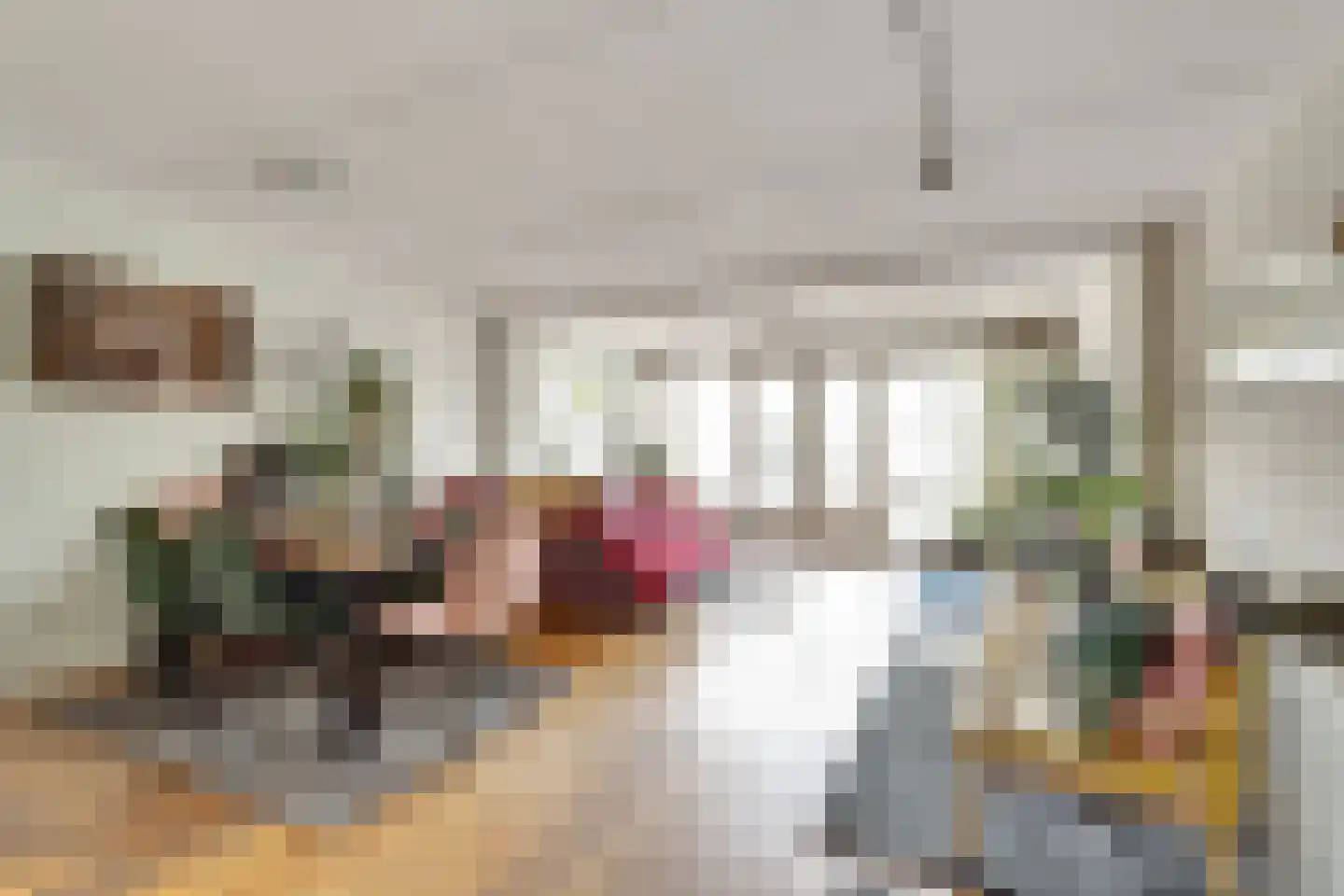 Zilvermeeuw 18 De Lier thumbnail 7