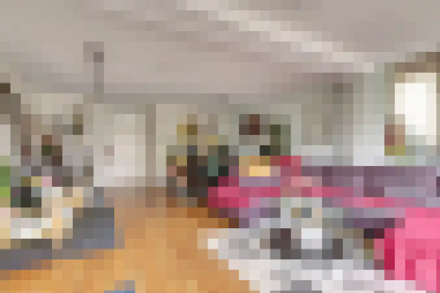 Zilvermeeuw 18 De Lier thumbnail 8
