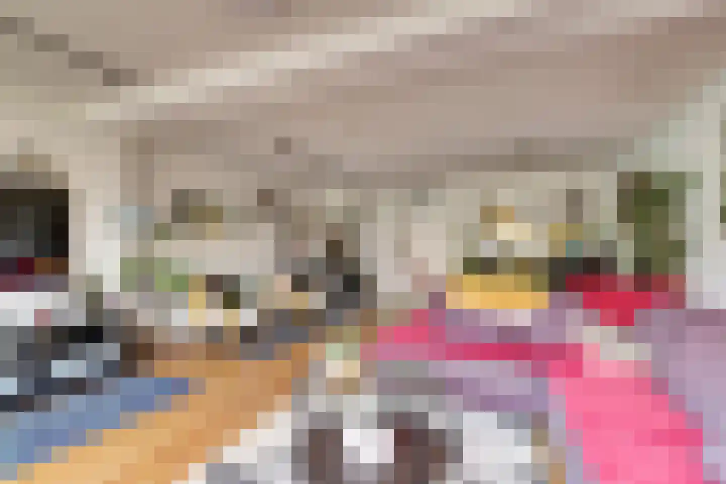 Zilvermeeuw 18 De Lier thumbnail 9