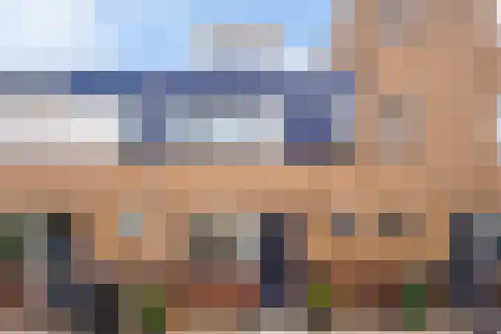 Zilvermeeuw 22 De Lier