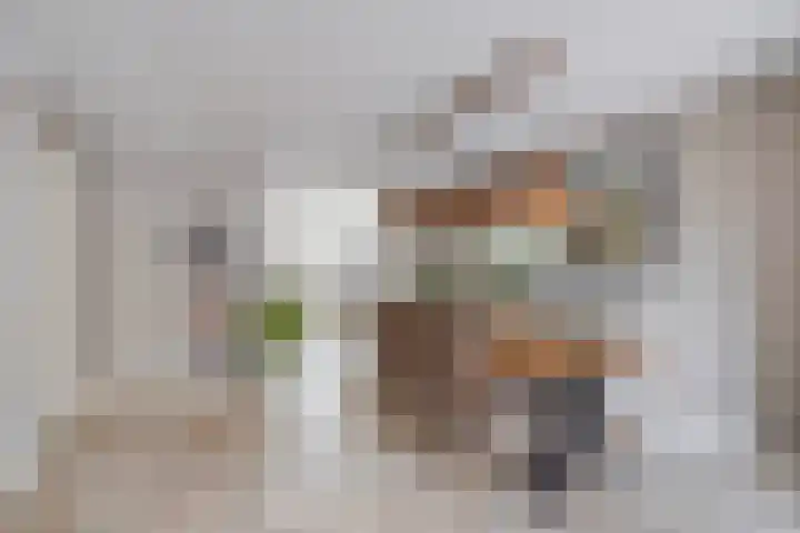 Zilvermeeuw 22 De Lier thumbnail 10