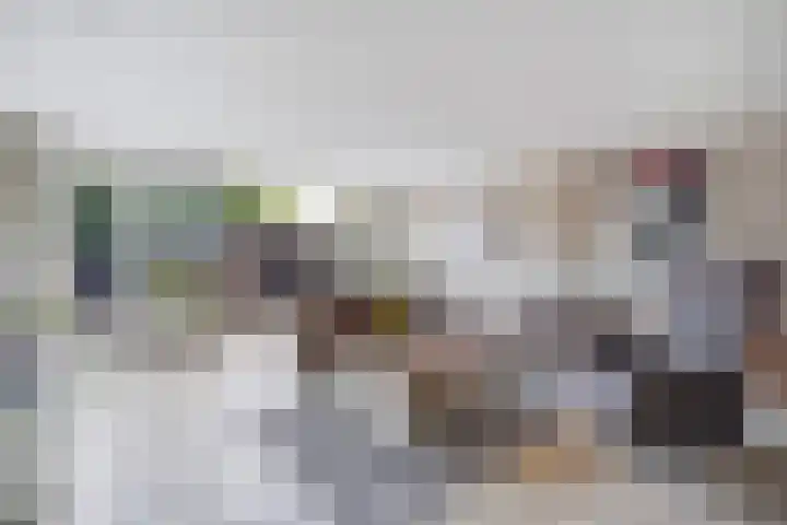 Zilvermeeuw 22 De Lier thumbnail 11