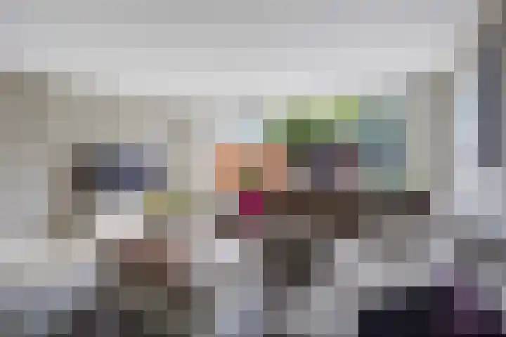 Zilvermeeuw 22 De Lier thumbnail 12