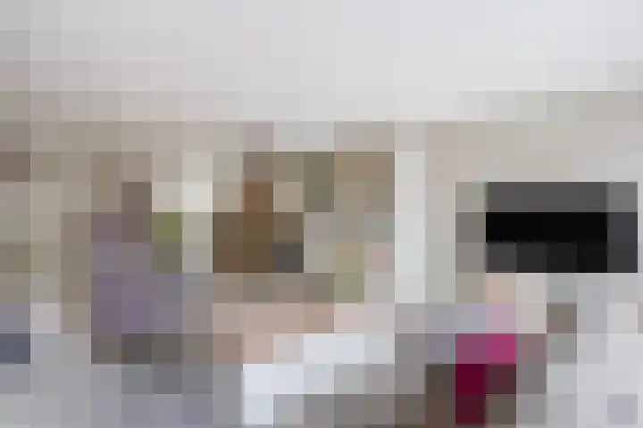 Zilvermeeuw 22 De Lier thumbnail 13