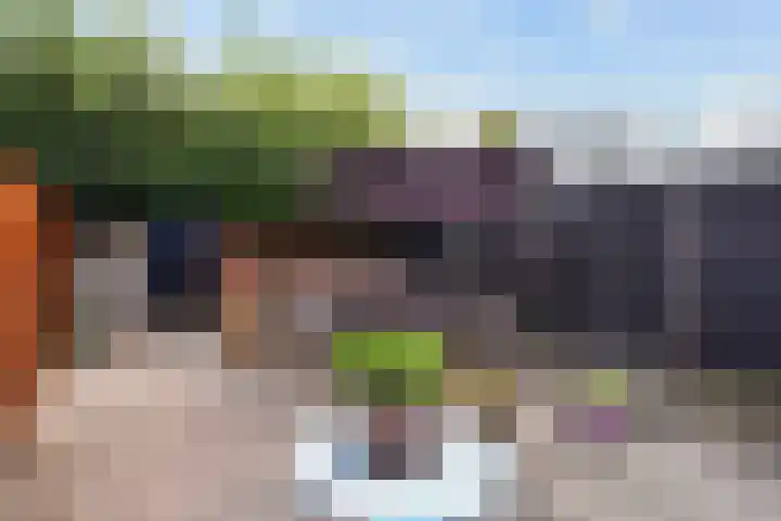 Zilvermeeuw 22 De Lier thumbnail 14