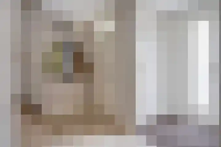 Zilvermeeuw 22 De Lier thumbnail 17