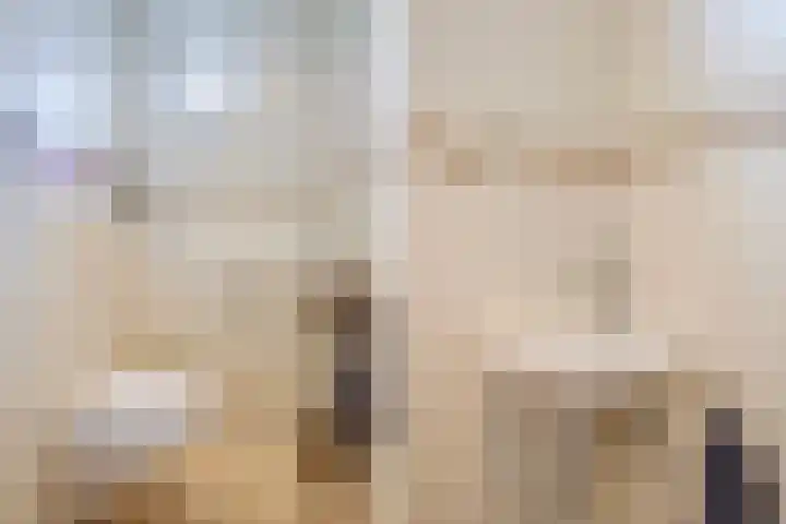 Zilvermeeuw 22 De Lier thumbnail 18