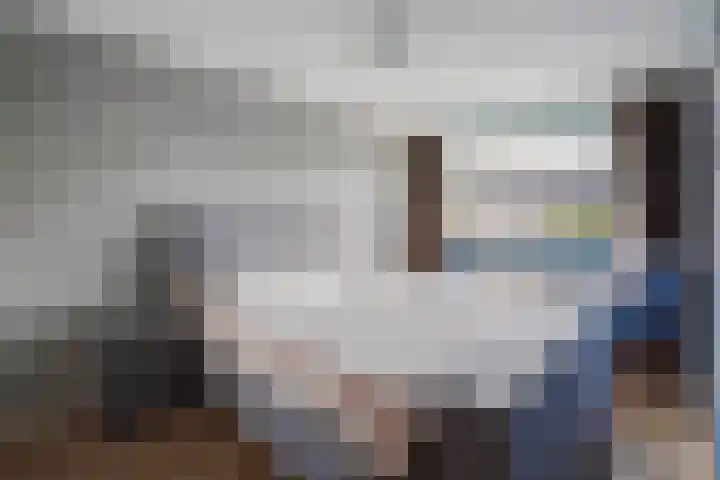 Zilvermeeuw 22 De Lier thumbnail 19