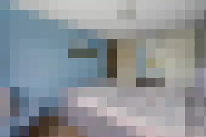 Zilvermeeuw 22 De Lier thumbnail 20