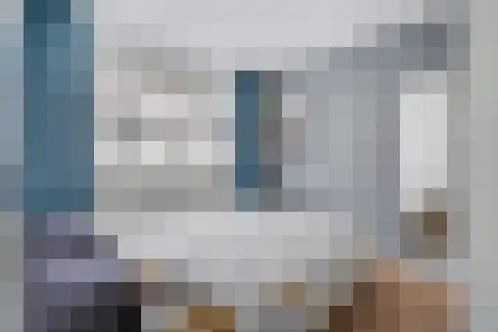 Zilvermeeuw 22 De Lier thumbnail 21