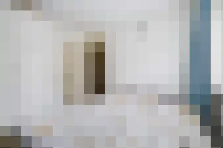 Zilvermeeuw 22 De Lier thumbnail 23