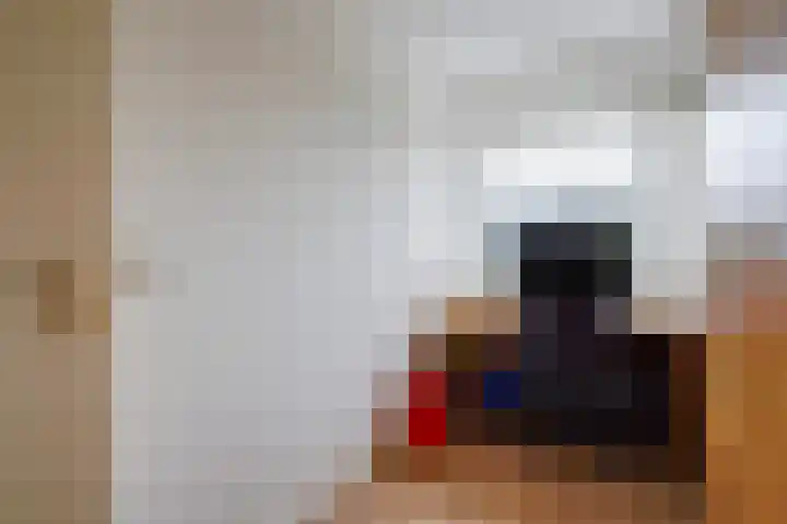 Zilvermeeuw 22 De Lier thumbnail 24