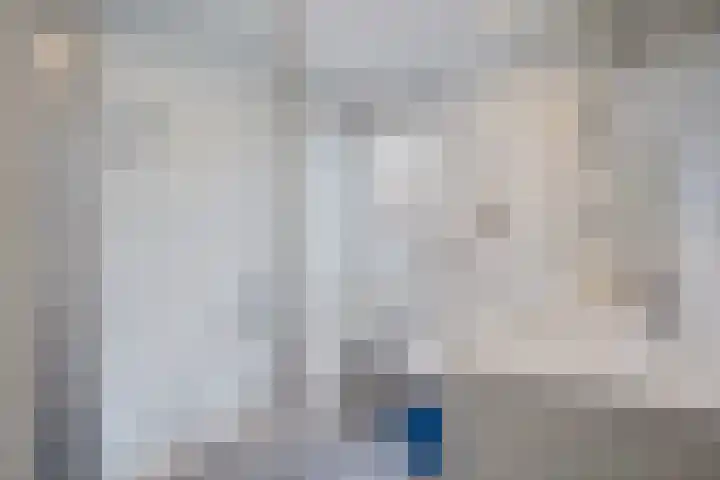 Zilvermeeuw 22 De Lier thumbnail 25