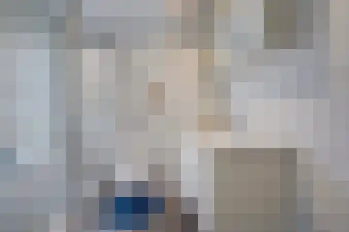 Zilvermeeuw 22 De Lier thumbnail 26