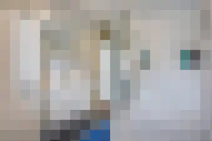 Zilvermeeuw 22 De Lier thumbnail 27