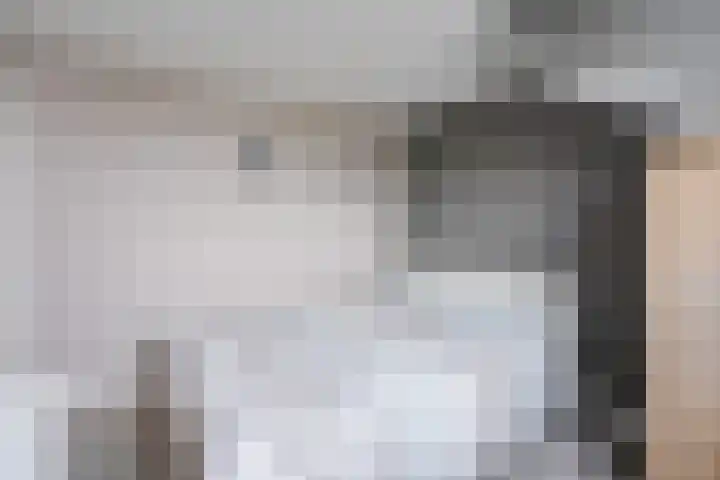 Zilvermeeuw 22 De Lier thumbnail 30