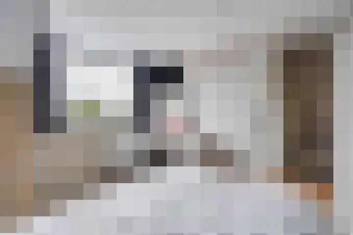 Zilvermeeuw 22 De Lier thumbnail 31