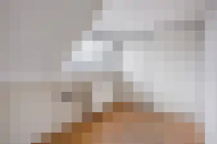 Zilvermeeuw 22 De Lier thumbnail 32