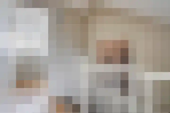 Zilvermeeuw 22 De Lier thumbnail 33