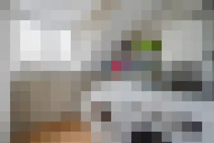 Zilvermeeuw 22 De Lier thumbnail 34