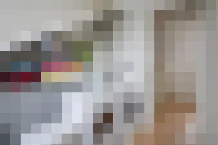 Zilvermeeuw 22 De Lier thumbnail 35