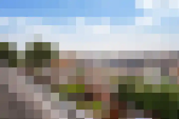 Zilvermeeuw 22 De Lier thumbnail 36