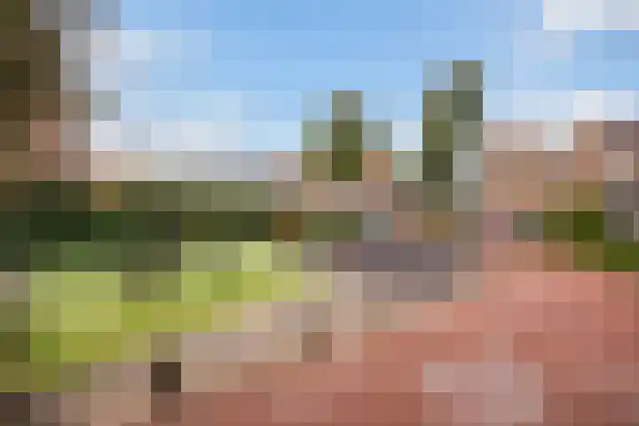 Zilvermeeuw 22 De Lier thumbnail 37