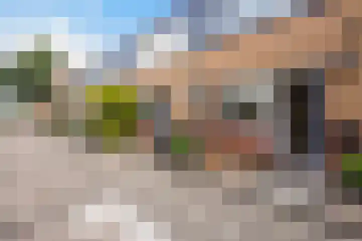 Zilvermeeuw 22 De Lier thumbnail 38
