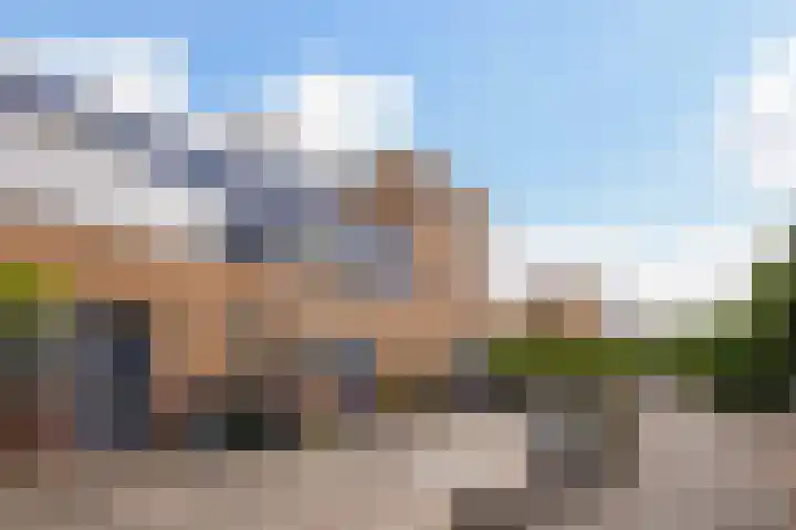 Zilvermeeuw 22 De Lier thumbnail 39