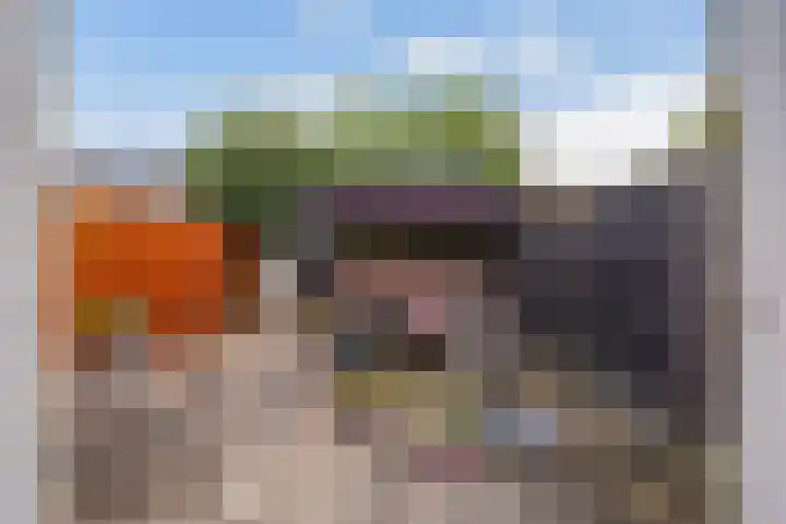 Zilvermeeuw 22 De Lier thumbnail 4