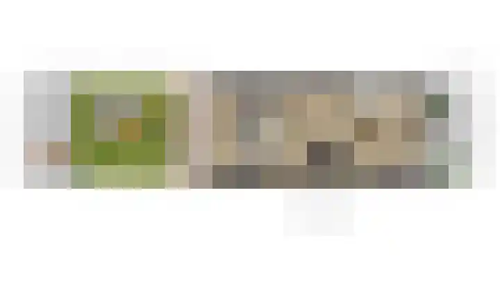 Zilvermeeuw 22 De Lier thumbnail 40
