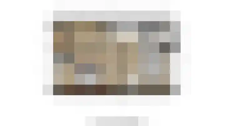 Zilvermeeuw 22 De Lier thumbnail 42