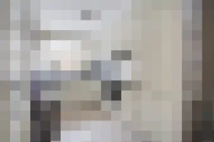 Zilvermeeuw 22 De Lier thumbnail 6