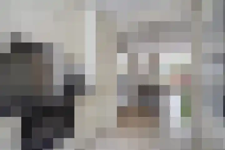 Zilvermeeuw 22 De Lier thumbnail 8