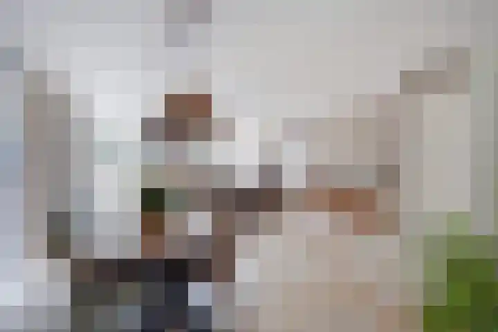 Zilvermeeuw 22 De Lier thumbnail 9