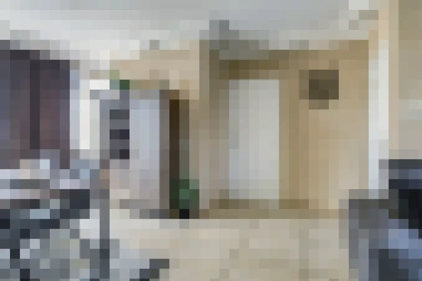 Zilvermeeuw 24 Etten-Leur thumbnail 12