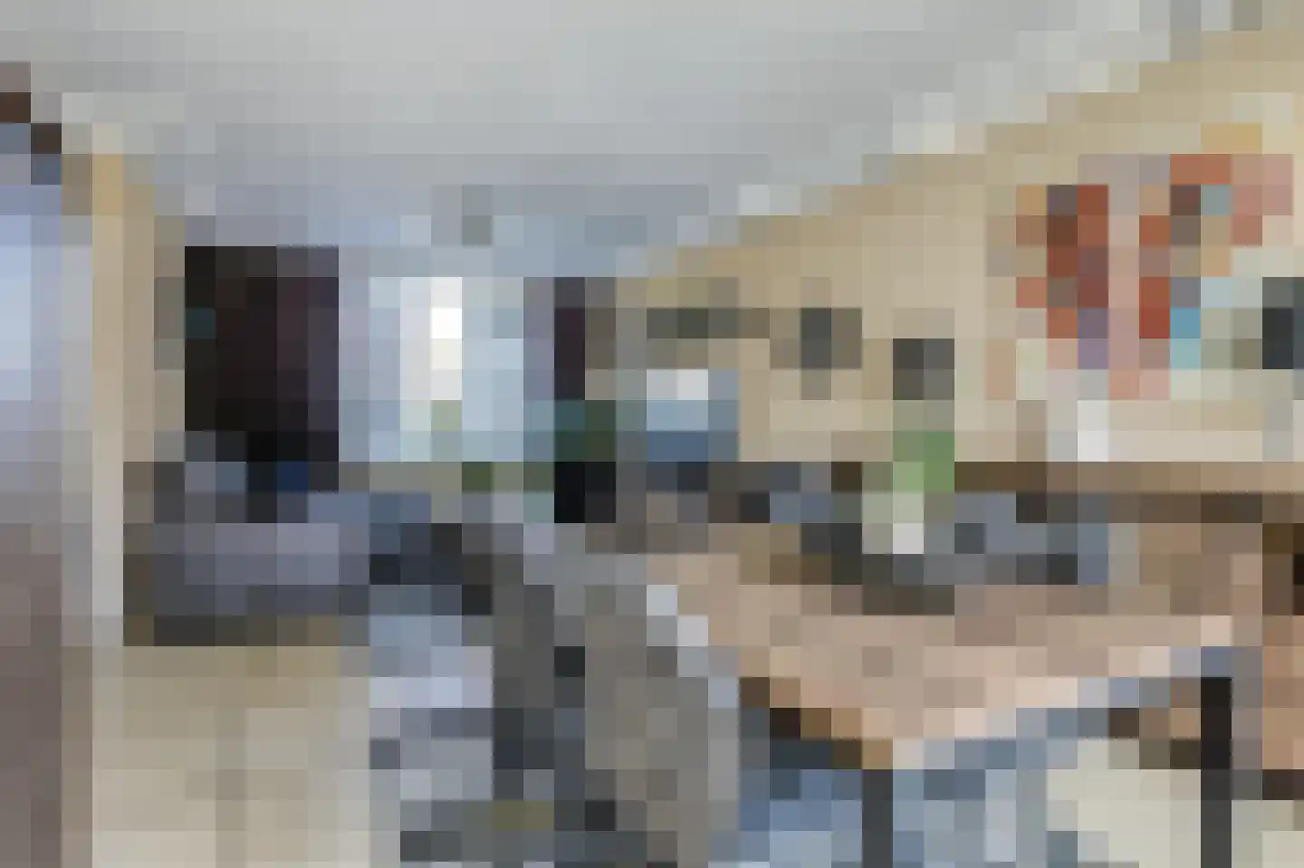 Zilvermeeuw 24 Etten-Leur thumbnail 14