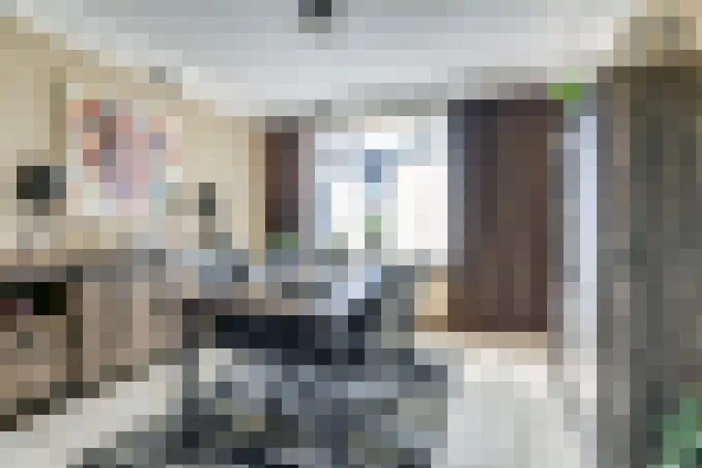 Zilvermeeuw 24 Etten-Leur thumbnail 15
