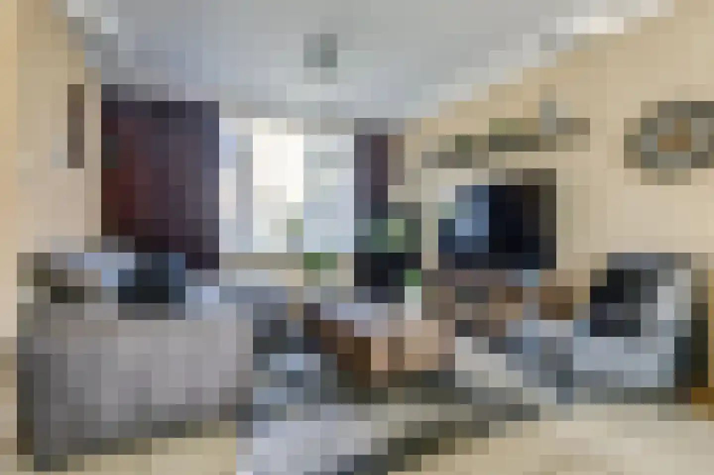 Zilvermeeuw 24 Etten-Leur thumbnail 16