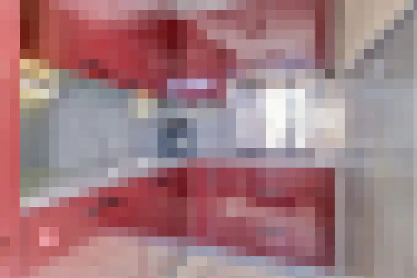 Zilvermeeuw 24 Etten-Leur thumbnail 18