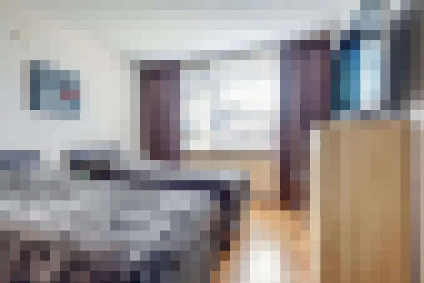 Zilvermeeuw 24 Etten-Leur thumbnail 22