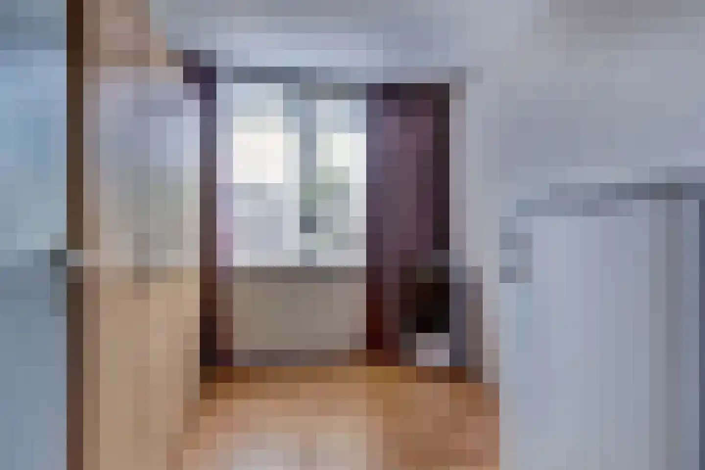 Zilvermeeuw 24 Etten-Leur thumbnail 23