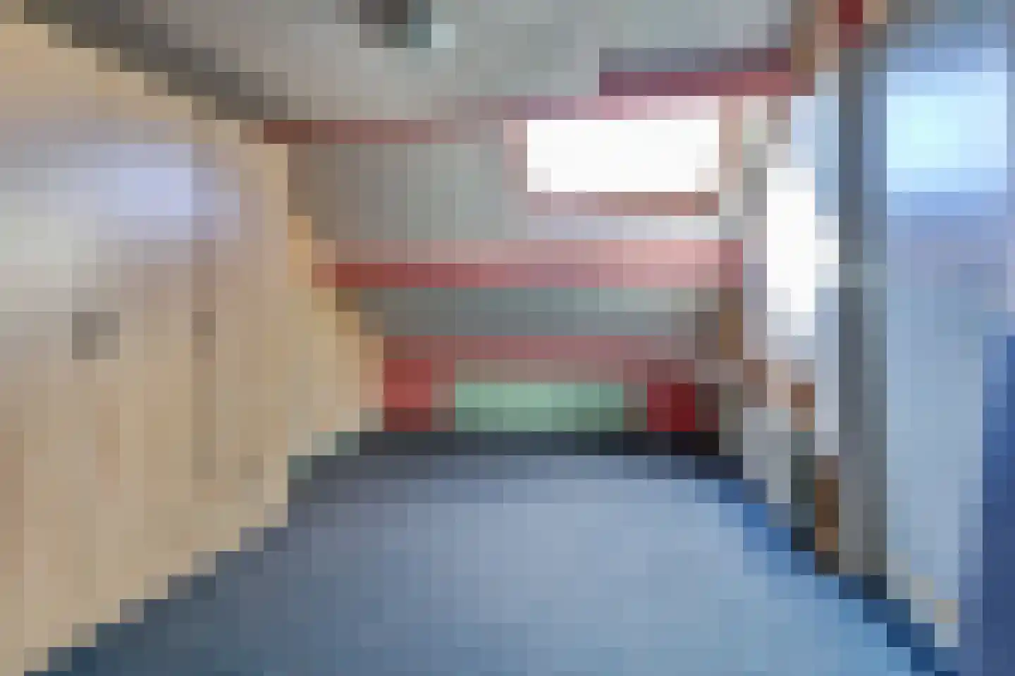 Zilvermeeuw 24 Etten-Leur thumbnail 30