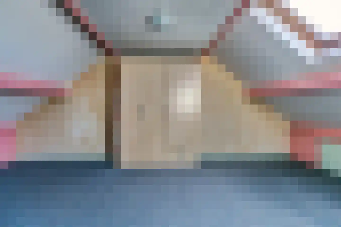 Zilvermeeuw 24 Etten-Leur thumbnail 31