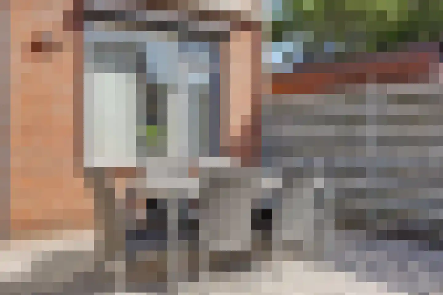 Zilvermeeuw 24 Etten-Leur thumbnail 32
